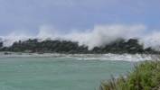 PICTURES/Morro Bay - Otters & Surf/t_Waves Brealomg13.JPG